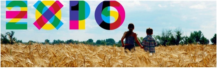 Visita all' EXPO 2015 a Milano