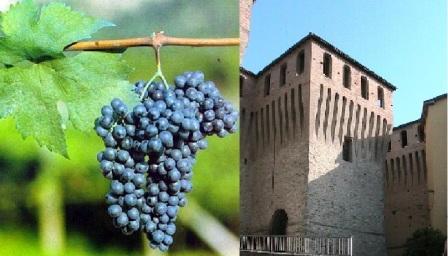 Lambrusco a corte