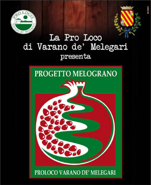Presentazione schematica del progetto