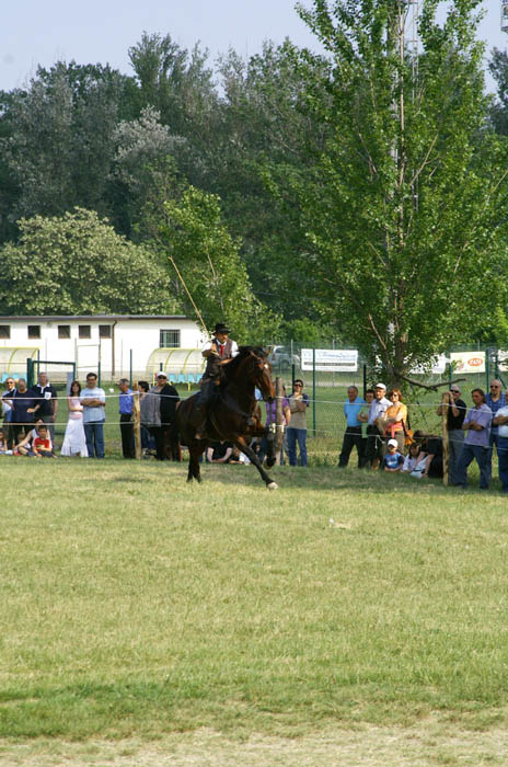 agri2007_02.jpg