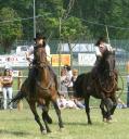 agri2007_10.jpg