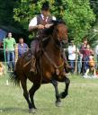 agri2007_103.jpg