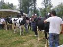 agri2007_132.jpg