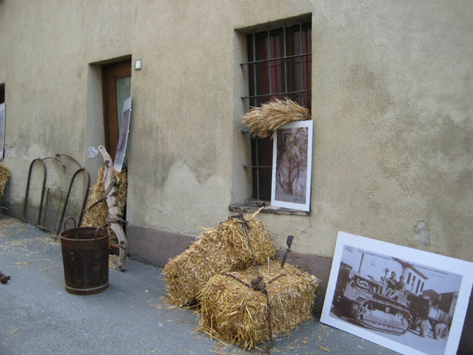 agri09_62.jpg