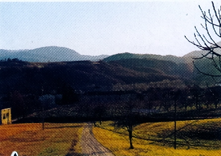 Viazzano