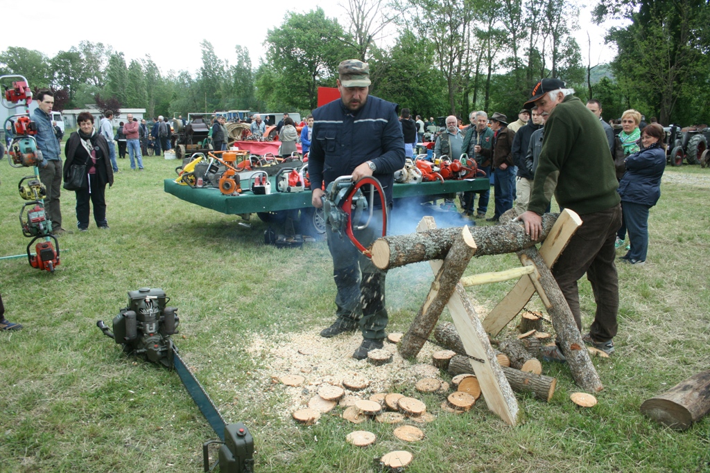 Fiera_agricola_2015_015.jpg