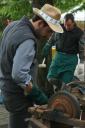 Fiera agricola 2015 010