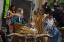 Fiera agricola 2015 336